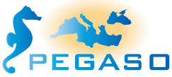 pegaso project logo