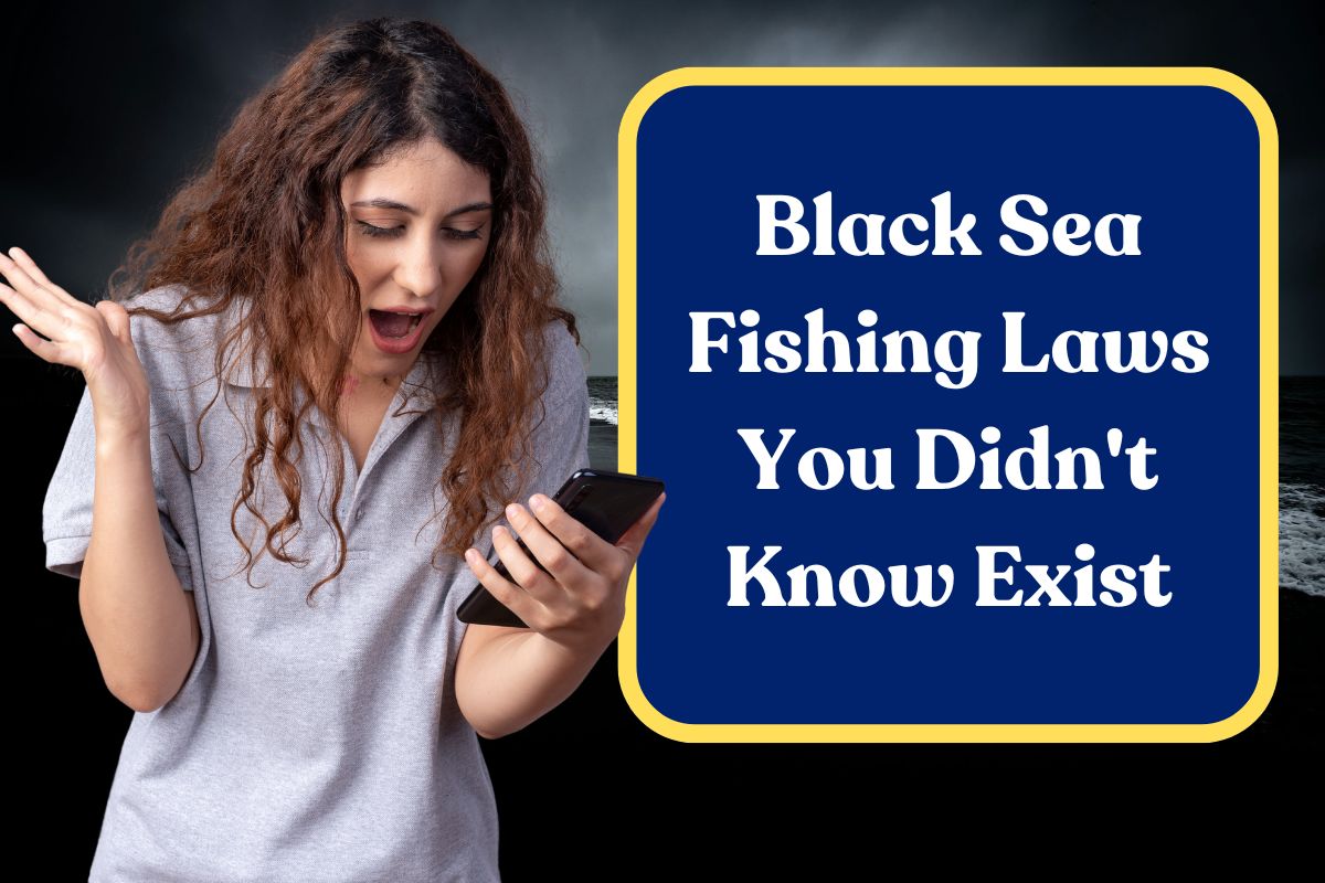 Black Sea Fishing Laws You Didn't Know Exist: What You Need to Know!