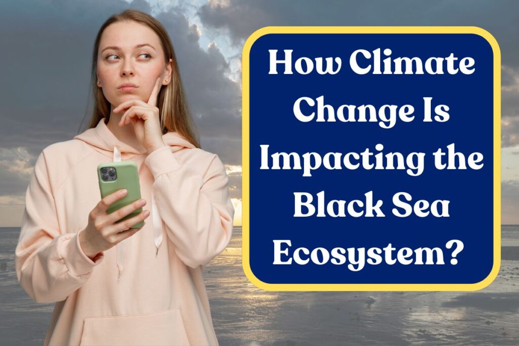 How Climate Change Is Impacting the Black Sea Ecosystem? All You Need to Know