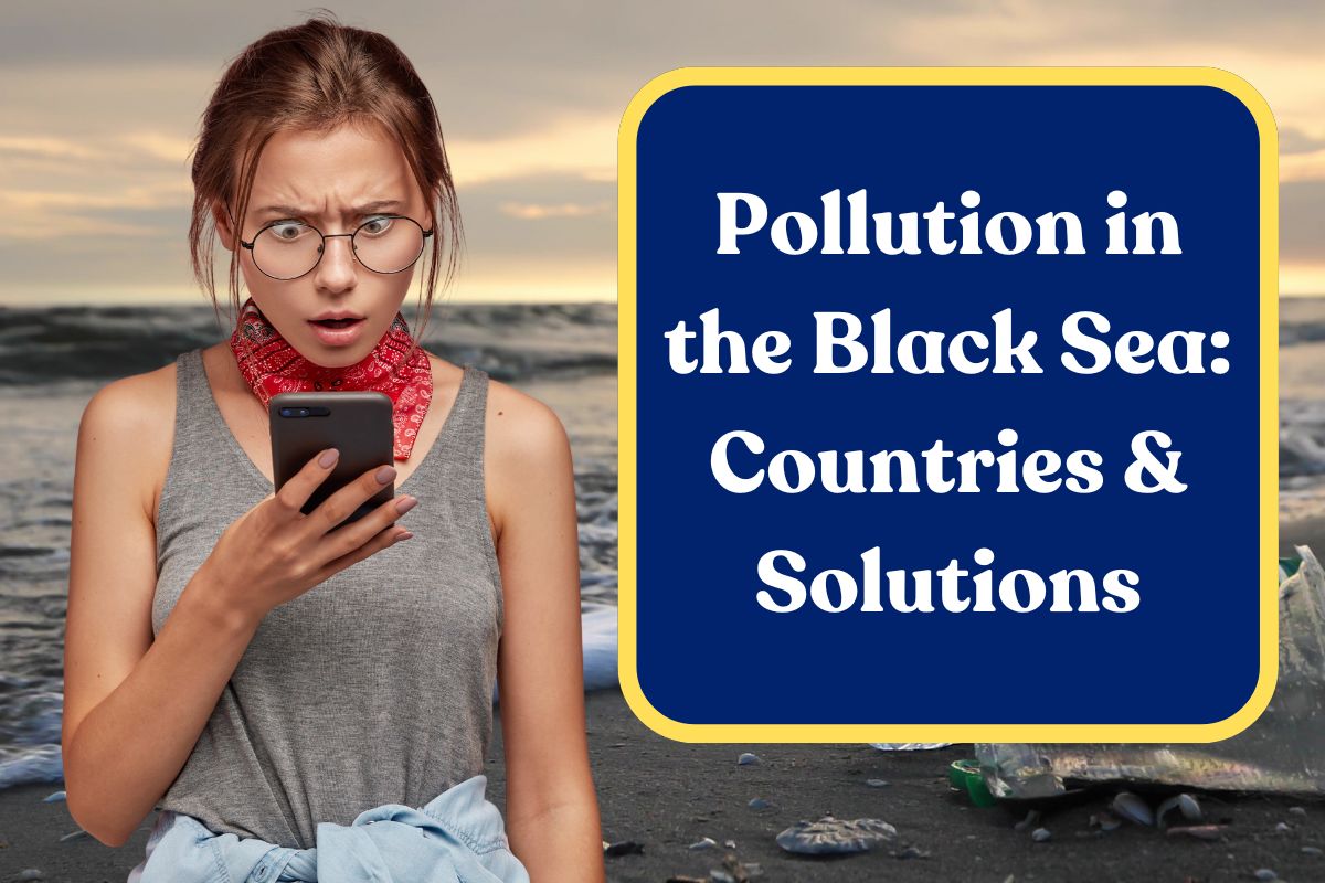 Pollution in the Black Sea: Countries & Solutions