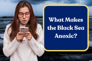 What Makes the Black Sea Anoxic? Everything You Need to Know!