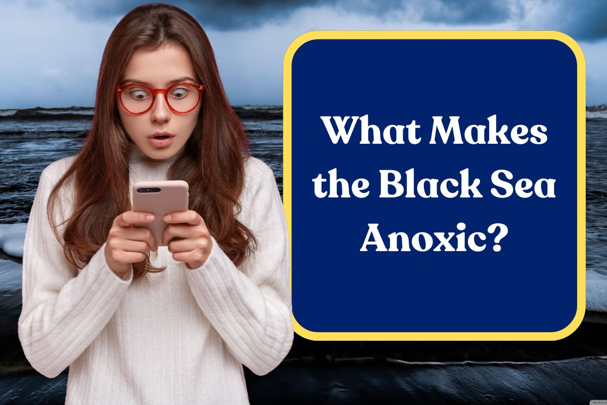 What Makes the Black Sea Anoxic? Everything You Need to Know!